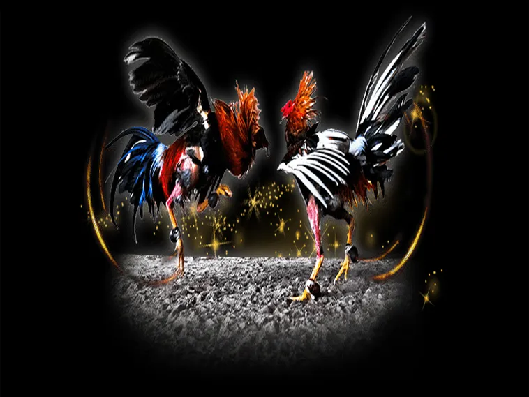 Cách Chơi Đá Gà Sabong Tại 789Win Hiểu Luật Và Dễ Dàng Nắm Phần Thắng 1 Cách Chơi Đá Gà Sabong Tại 789Win Hiểu Luật Và Dễ Dàng Nắm Phần Thắng