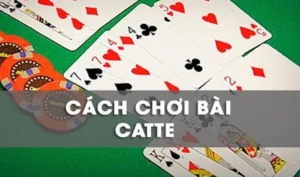 Cách Chơi Sắc Tê Nhà Cái 789Win Dành Cho Người Mới Và Cao Thủ Cá Cược