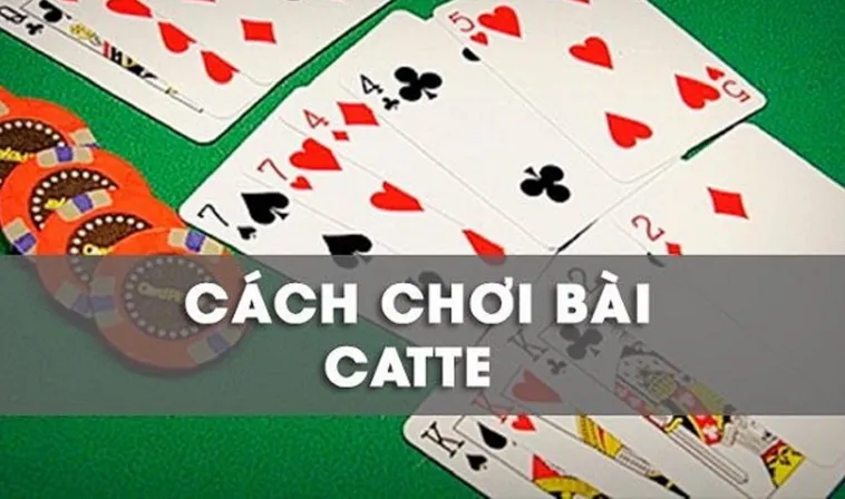 Cách Chơi Sắc Tê Nhà Cái 789Win Dành Cho Người Mới Và Cao Thủ Cá Cược